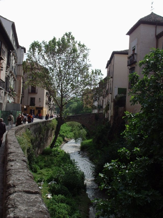 P5250015 Puente Cabrera - Carrera del Darro - Granada